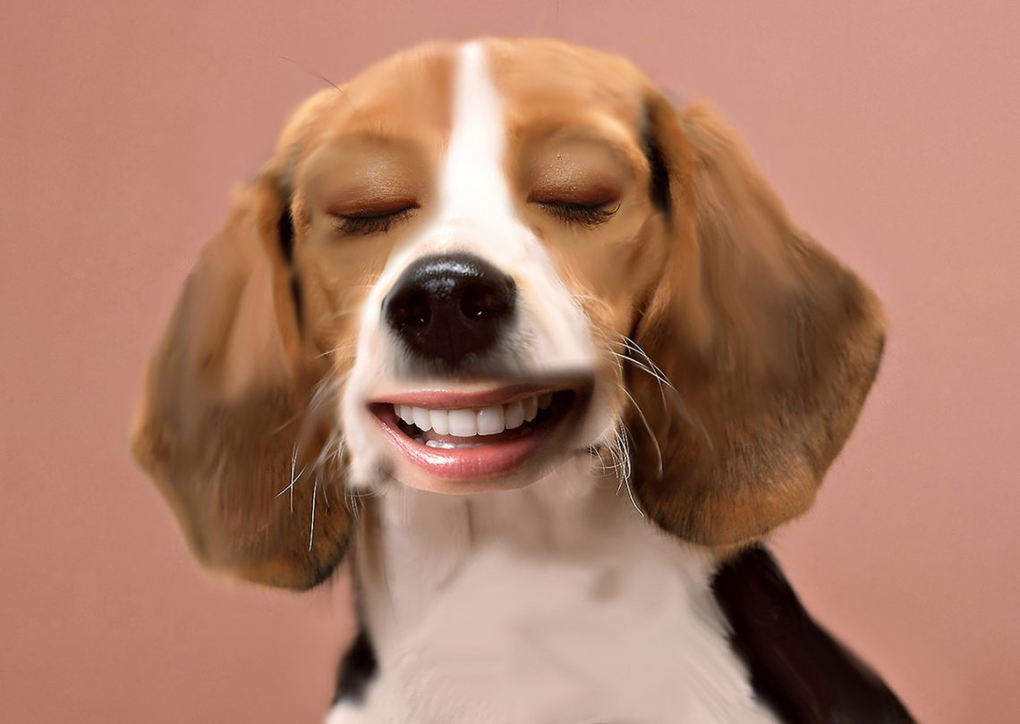 Chien bouche | Personal illustration