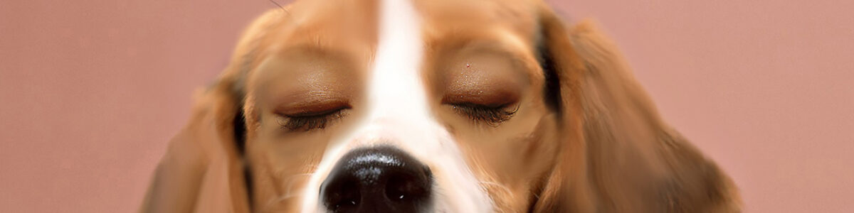 Chien bouche | Personal illustration