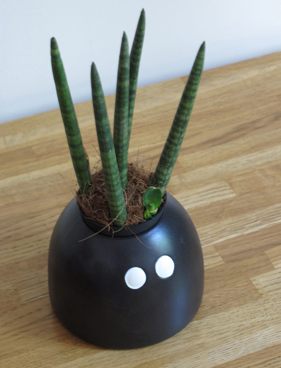 Plant pot | Medicom Toys