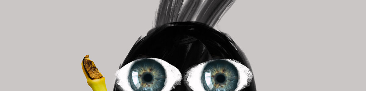 Various | Collages experimentations